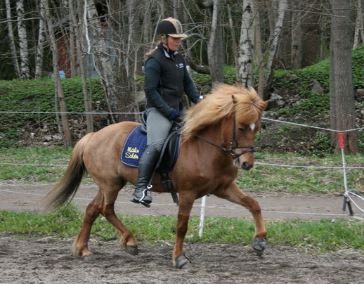 eldis